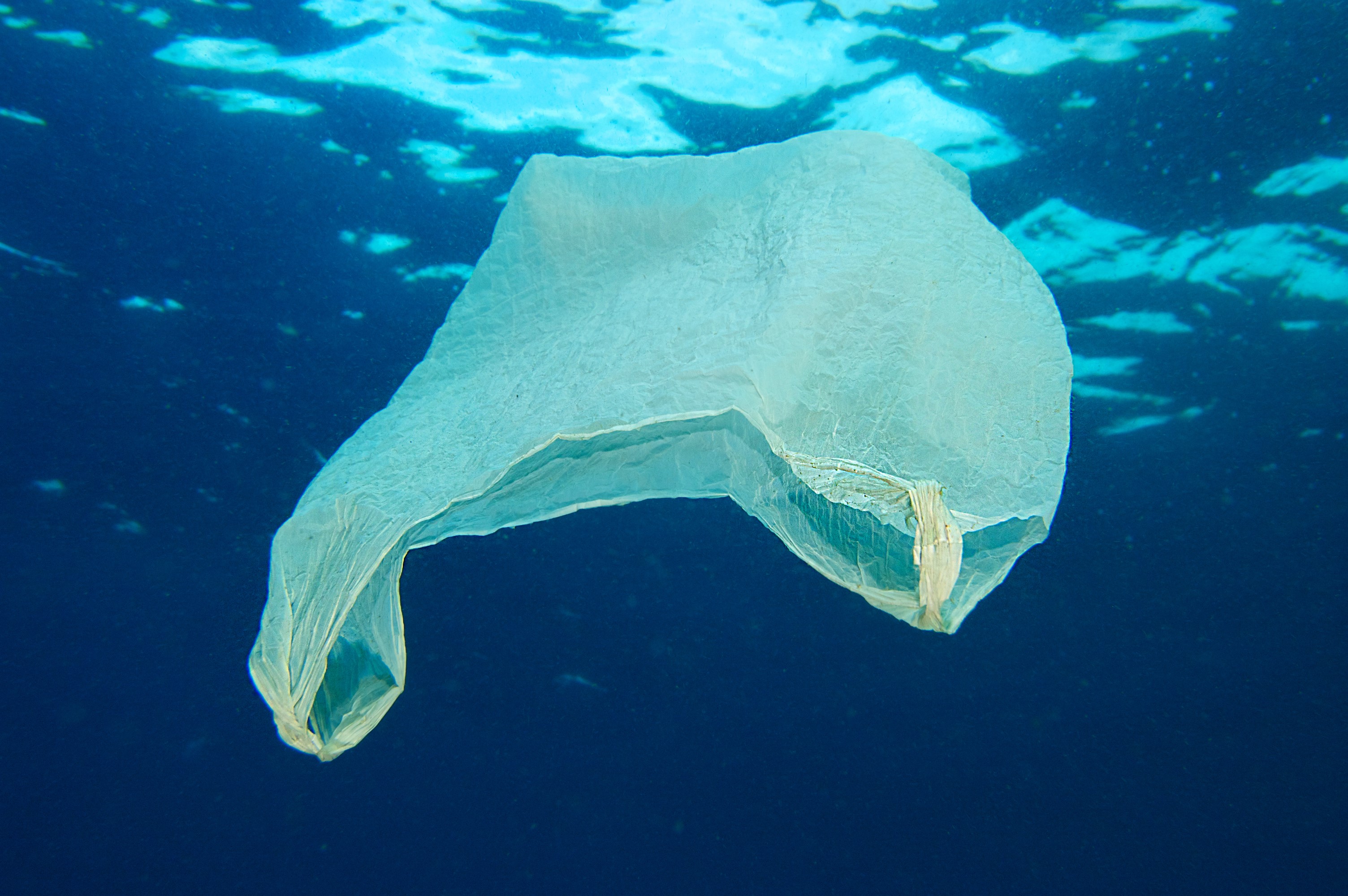 Plastic in the ocean